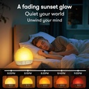 Wake Up Light Sunrise Alarm Clock Timer 30 White Noise Sound 2